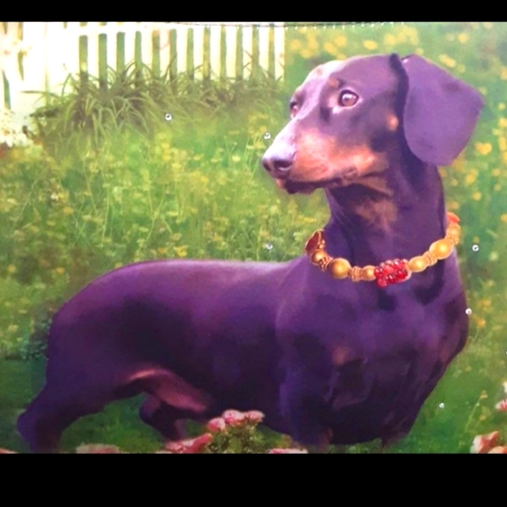 Dachshund 'In the Garden' Handbag